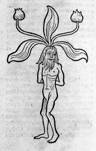 L0008133 Hortus Sanitatis.